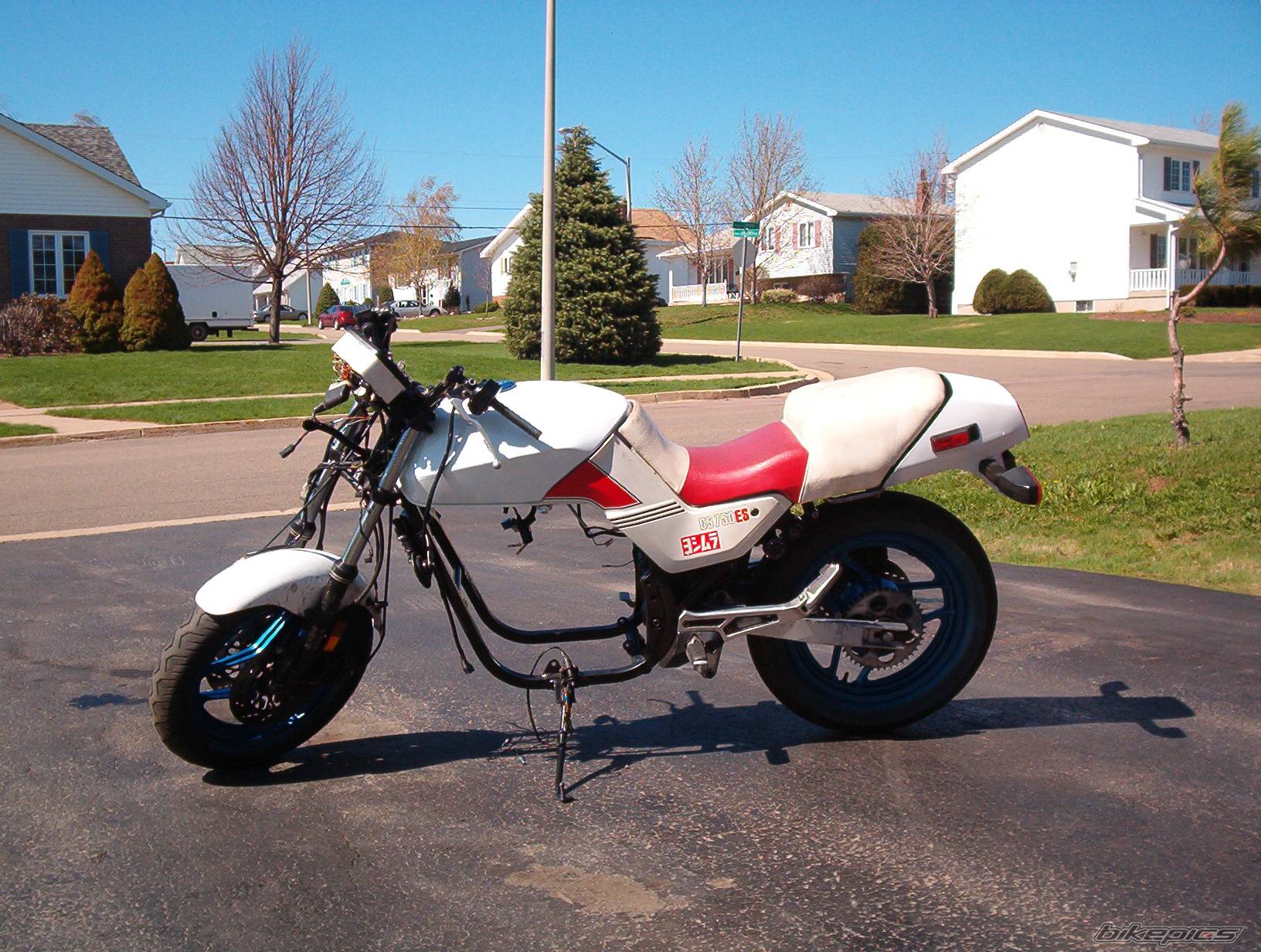 Photo 147948
