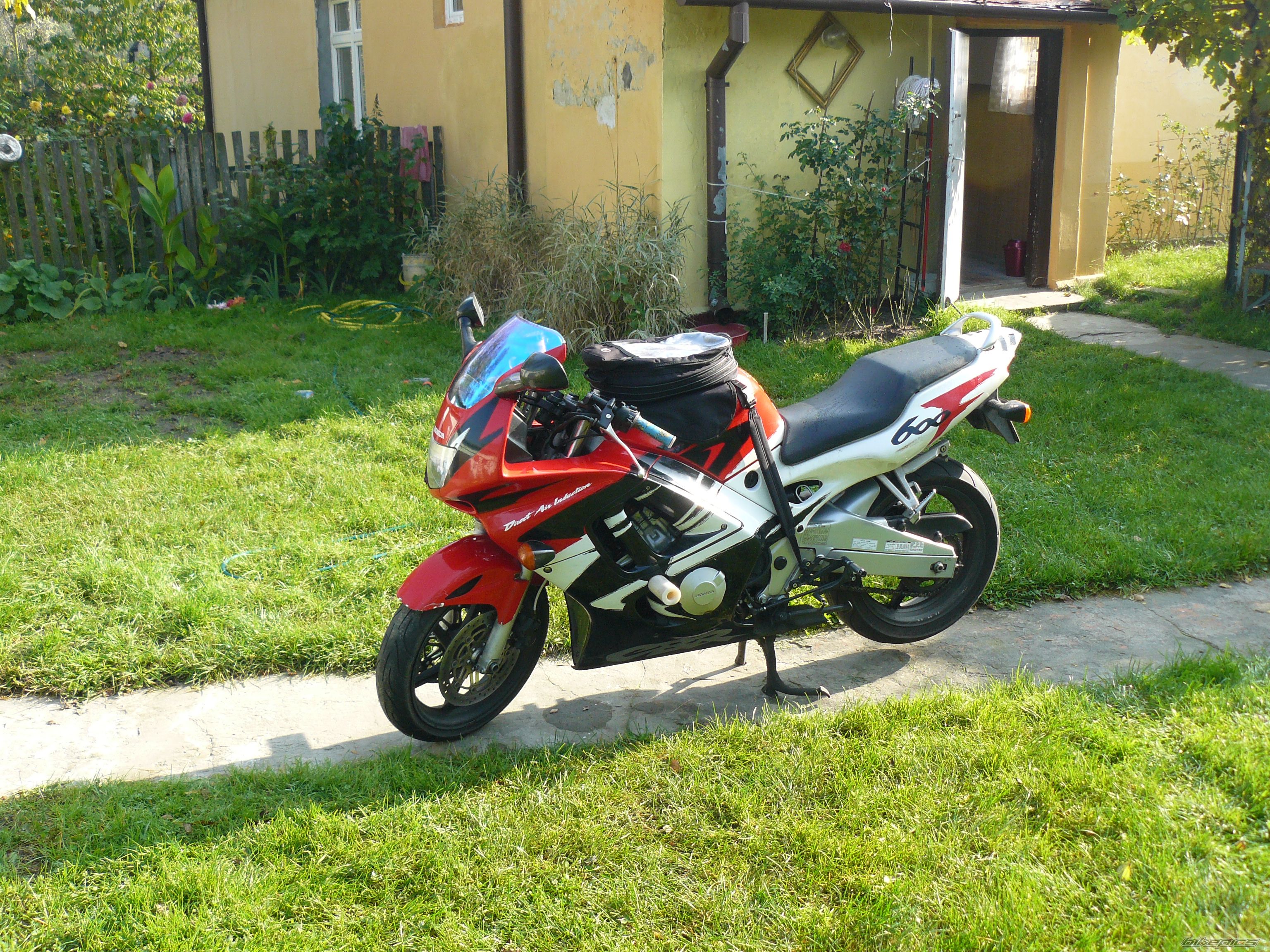 Photo 1482528