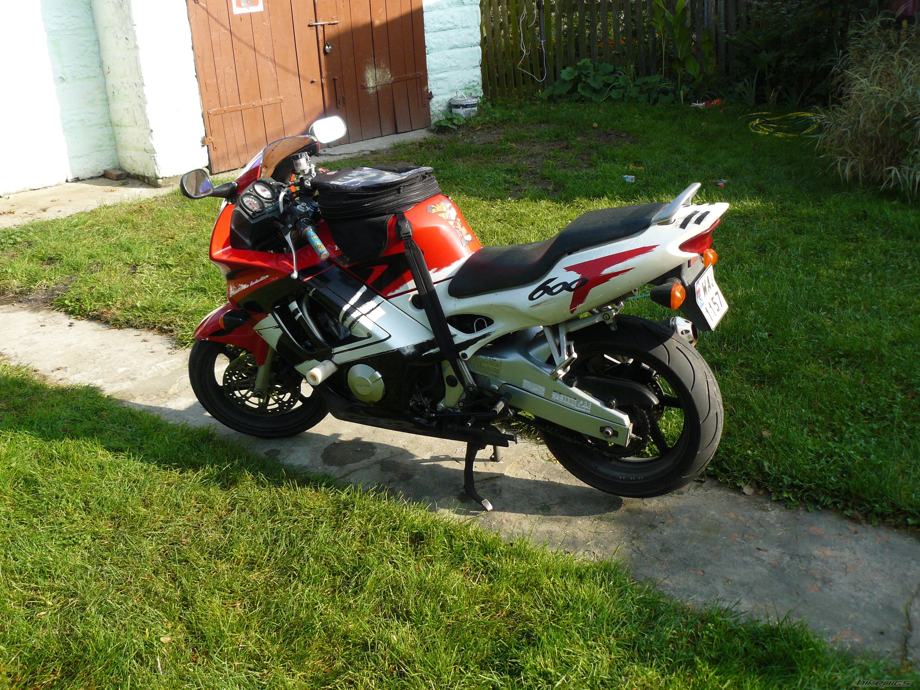 Photo 1482533