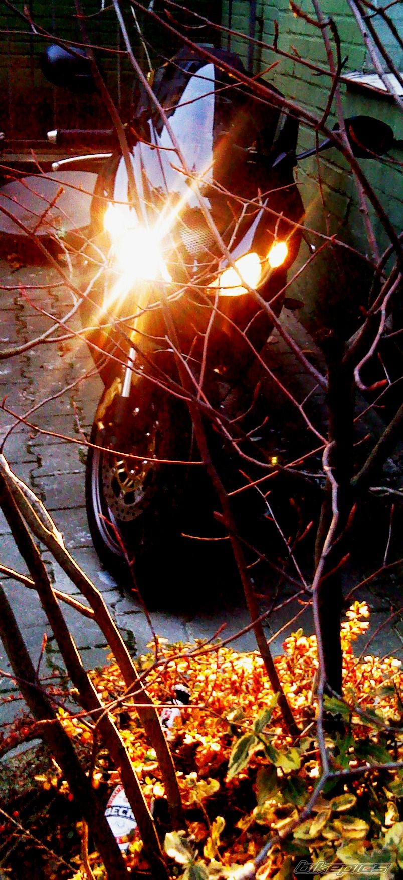Bike Photo 1482792