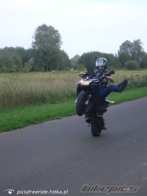 Photo 1483084