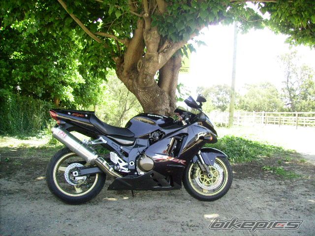 Photo 1483458