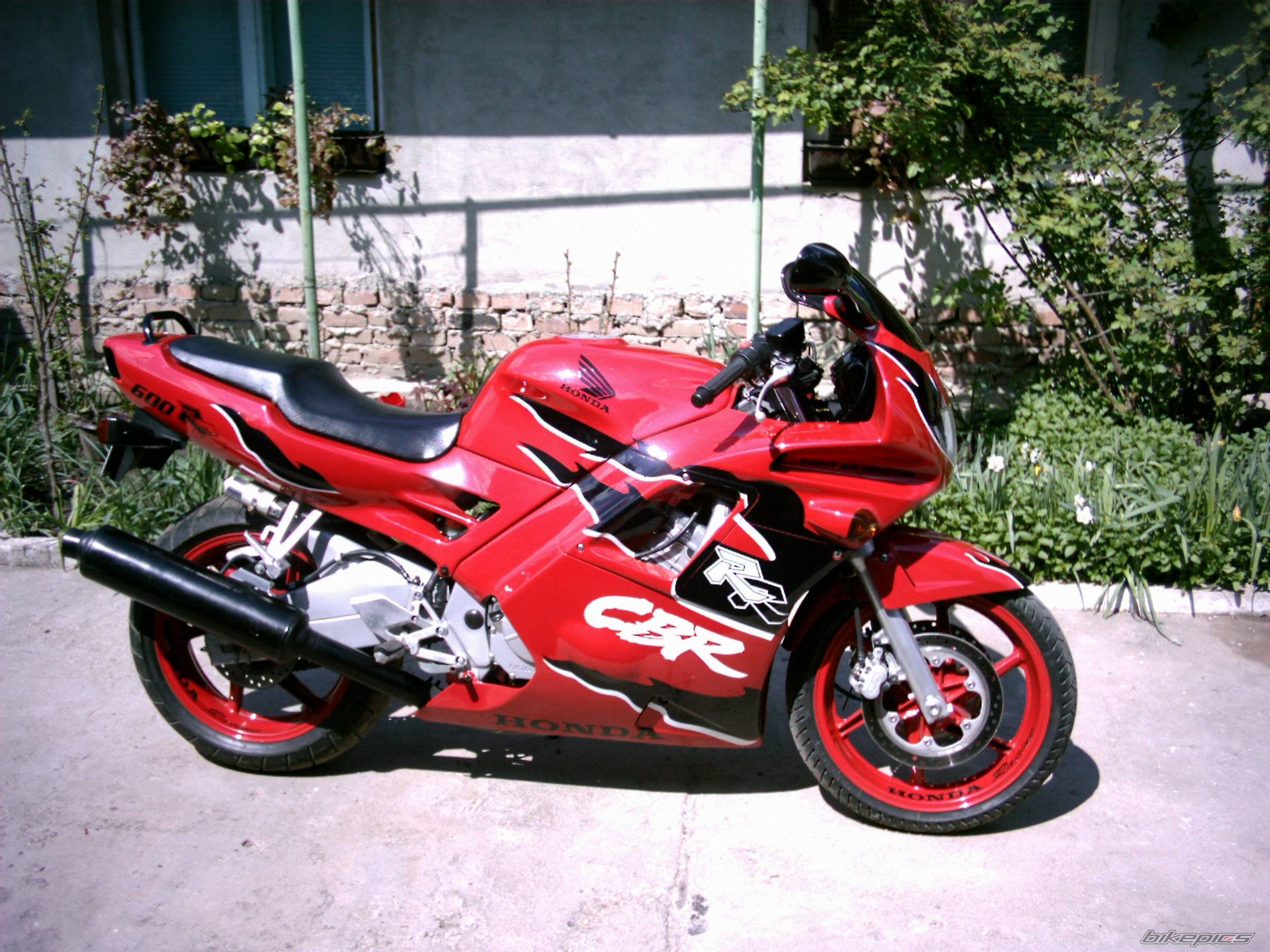 Photo 148412