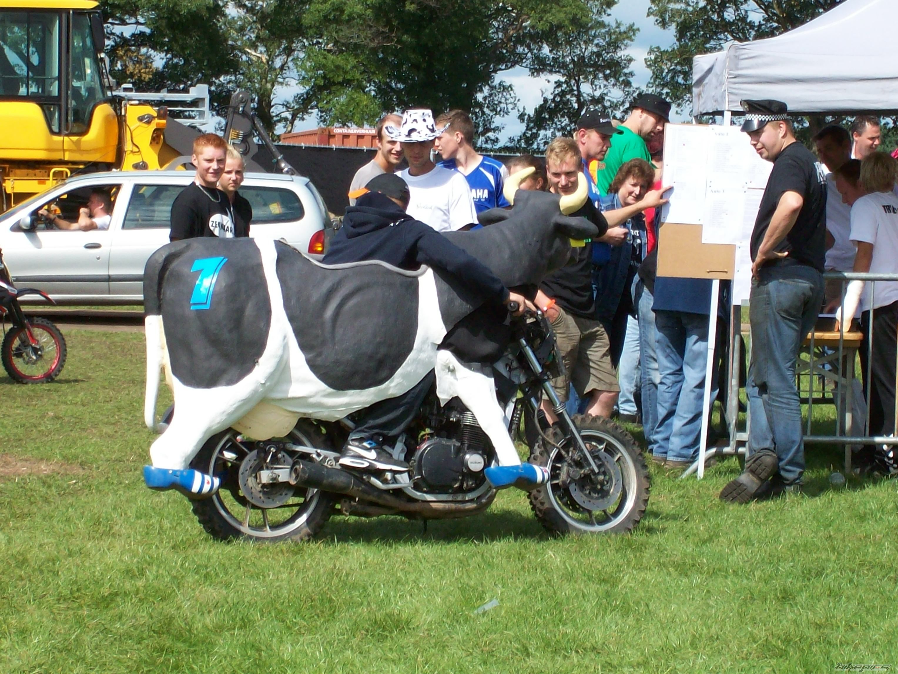 Photo 1484418