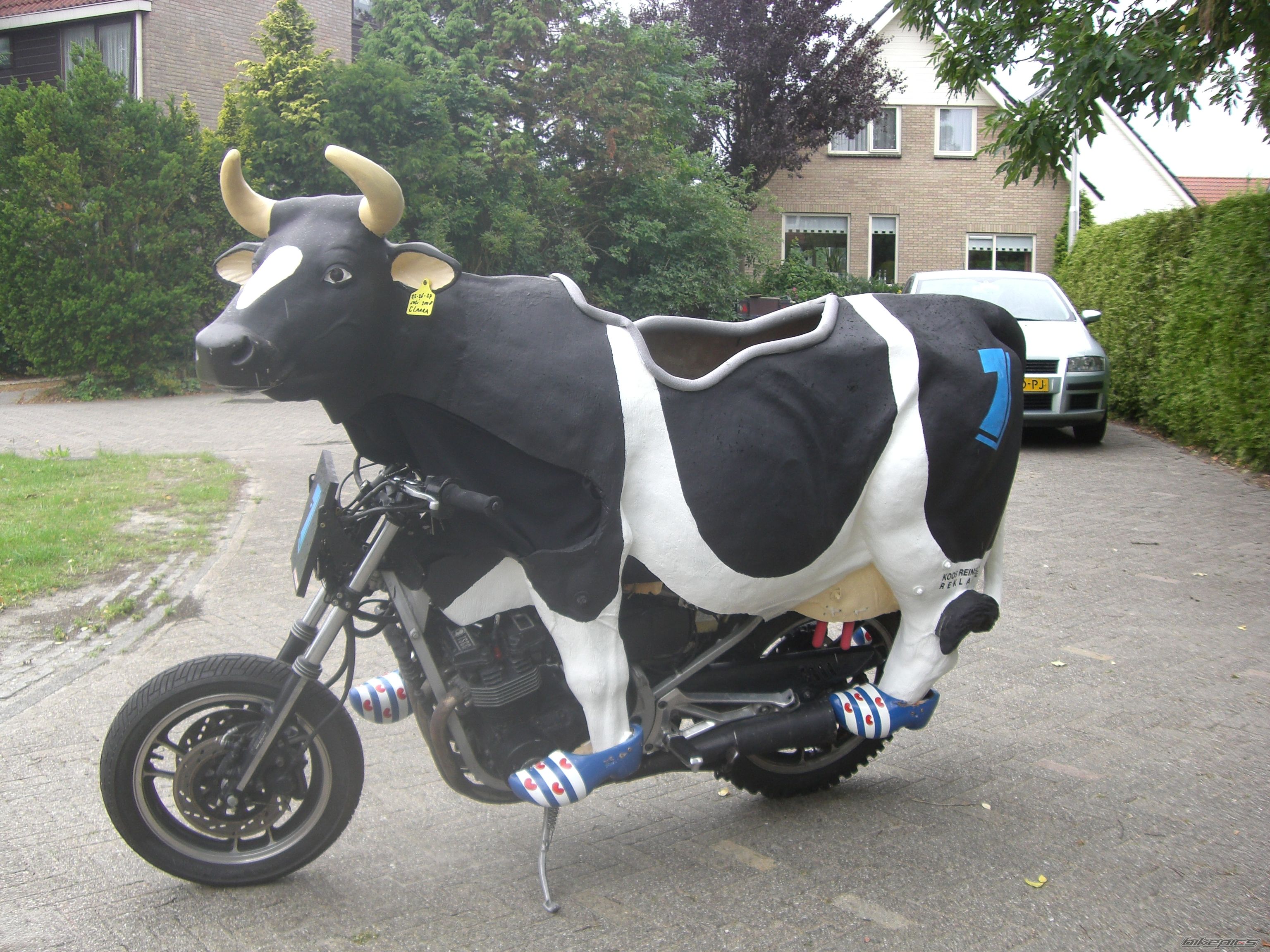 Photo 1484423