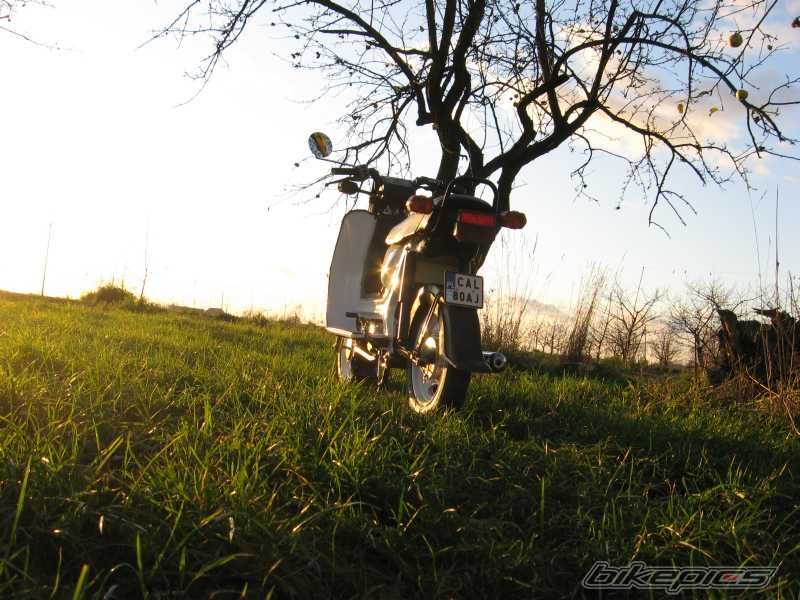 Photo 1485324
