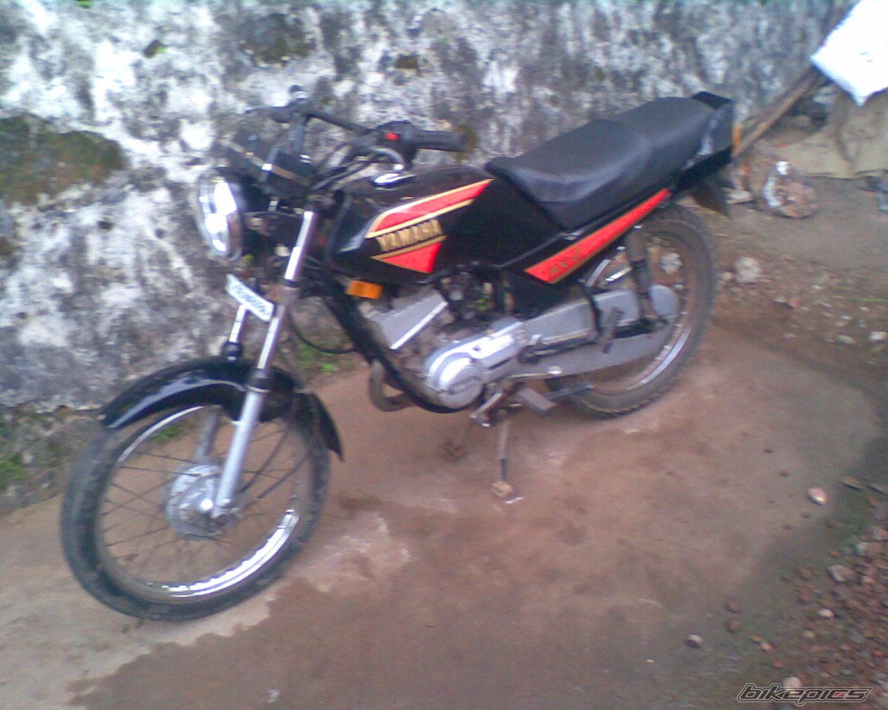 Photo 1487235