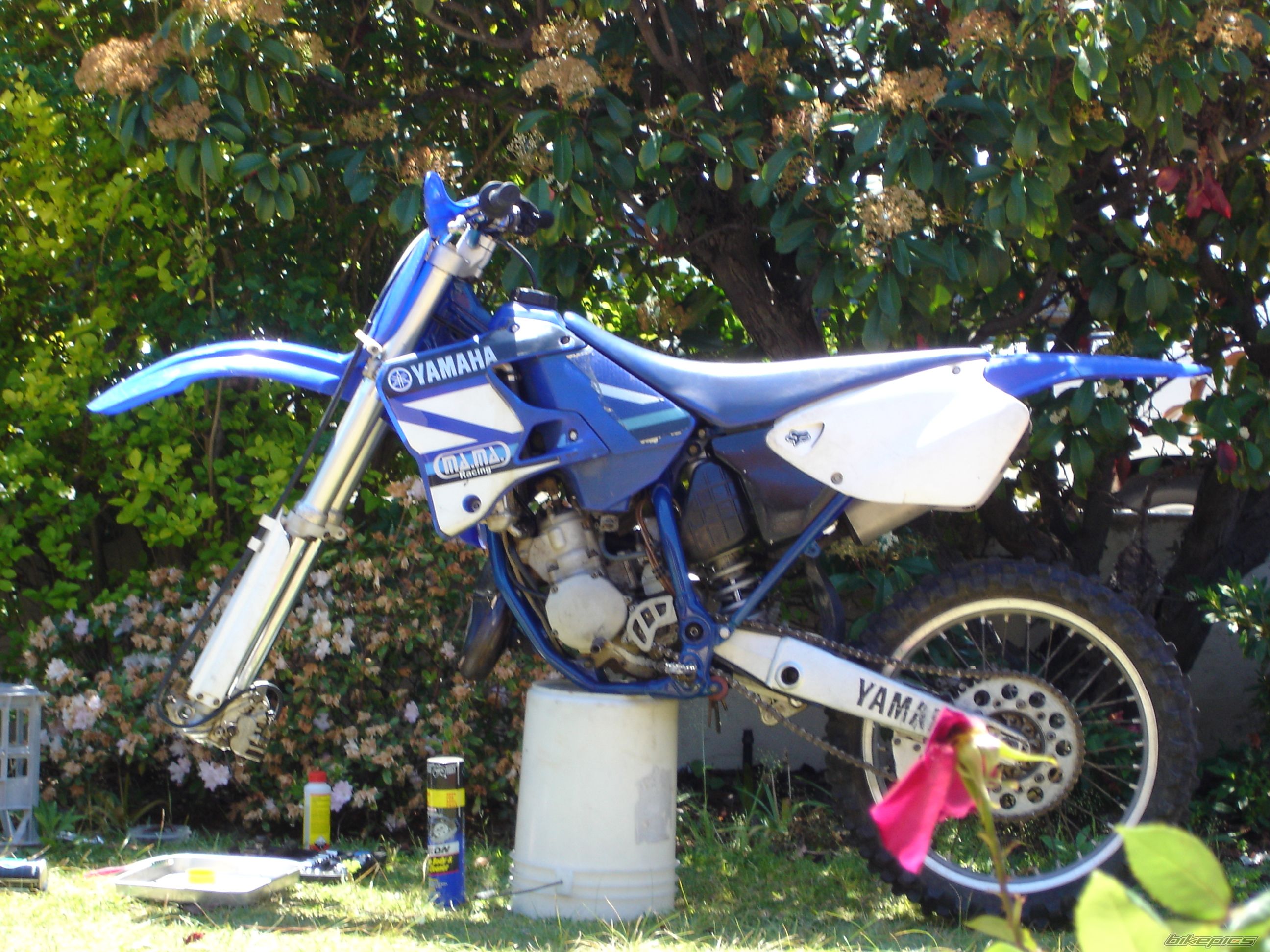 Photo 1489348