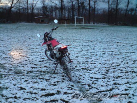 Photo 1489622