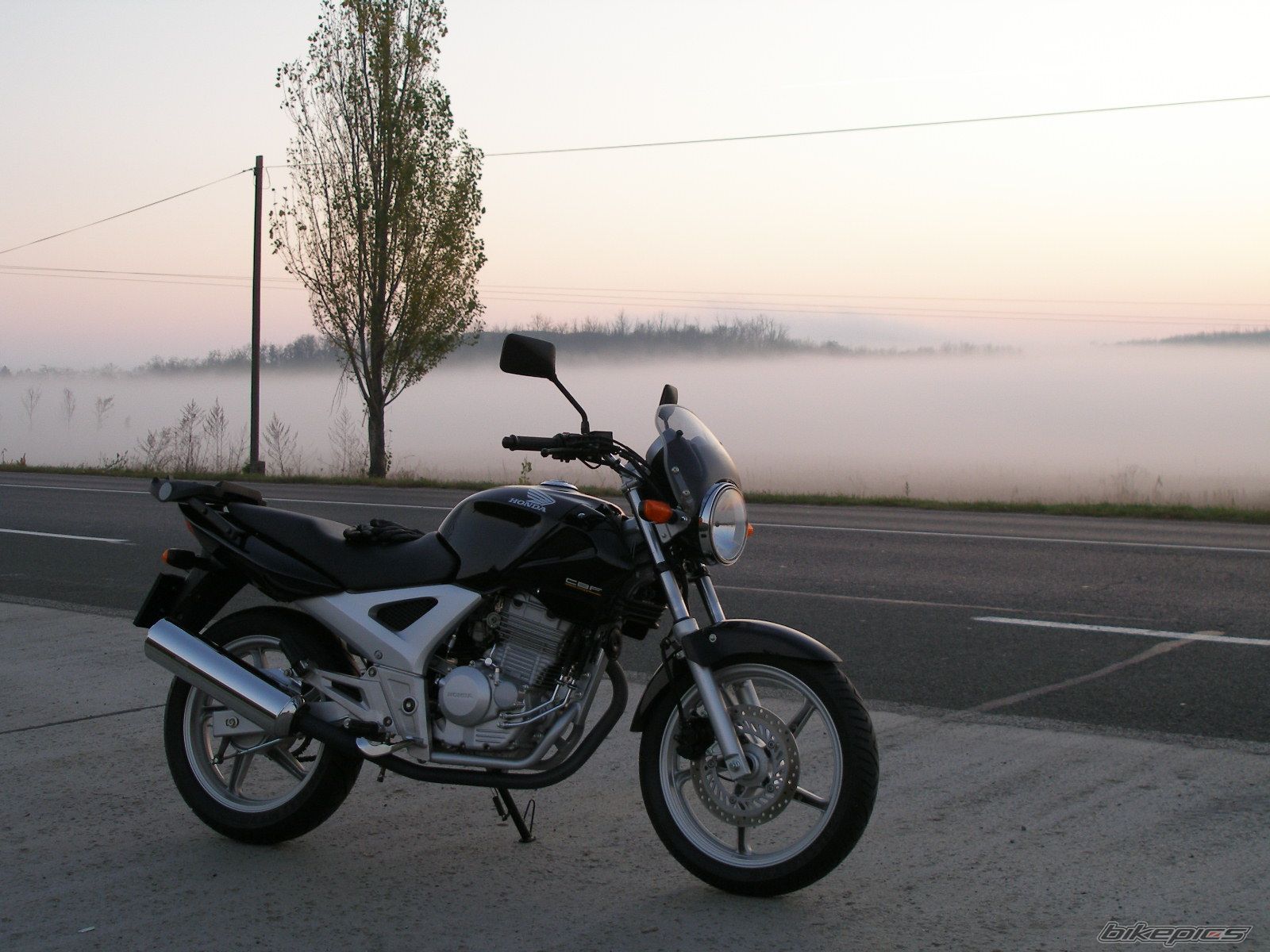 Photo 1492475