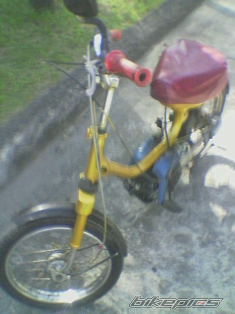 Photo 1495191