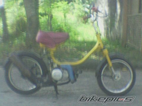 Photo 1495193