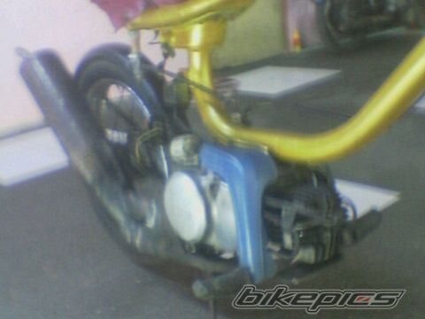 Photo 1495197