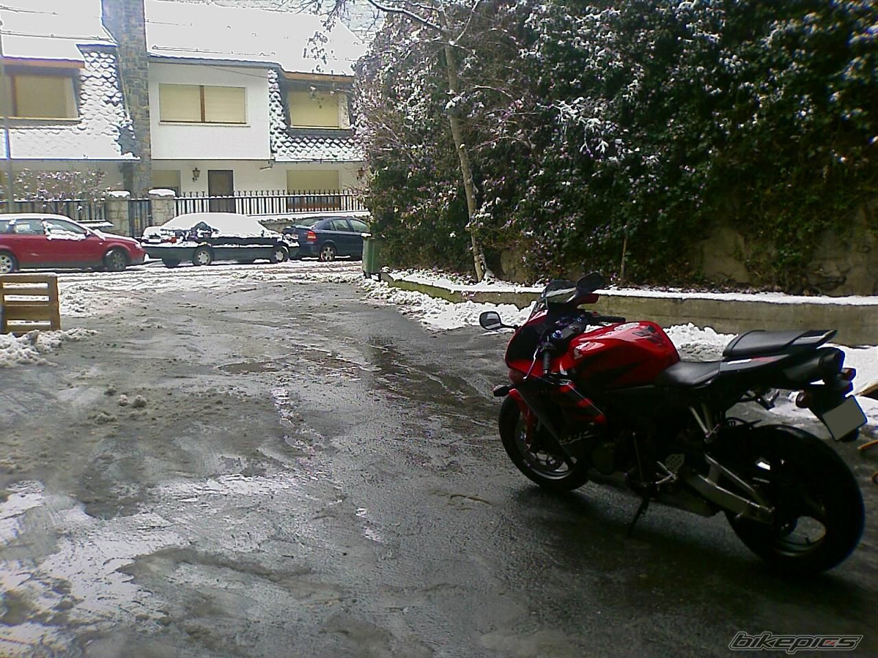 Photo 1495807