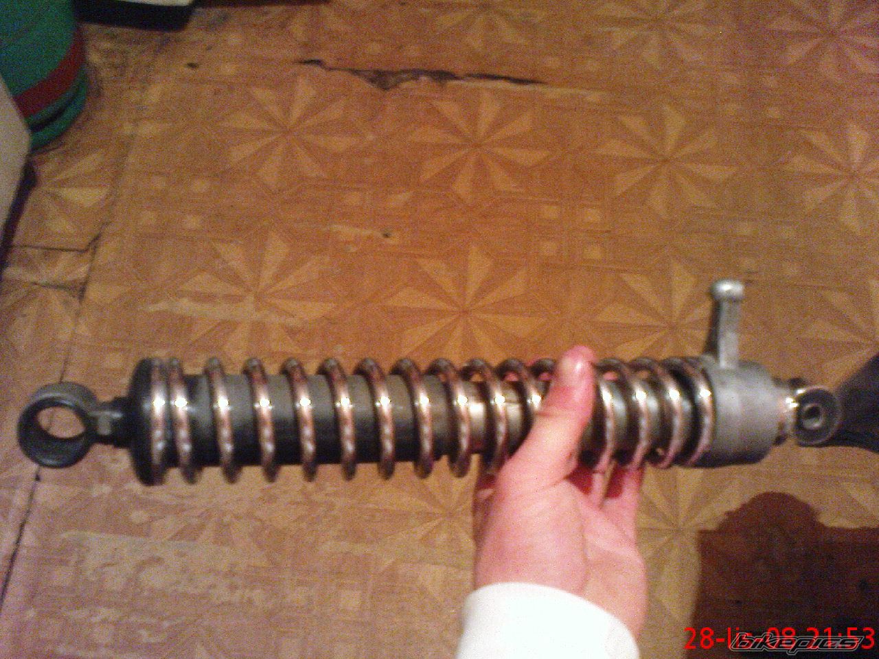 Photo 1495828