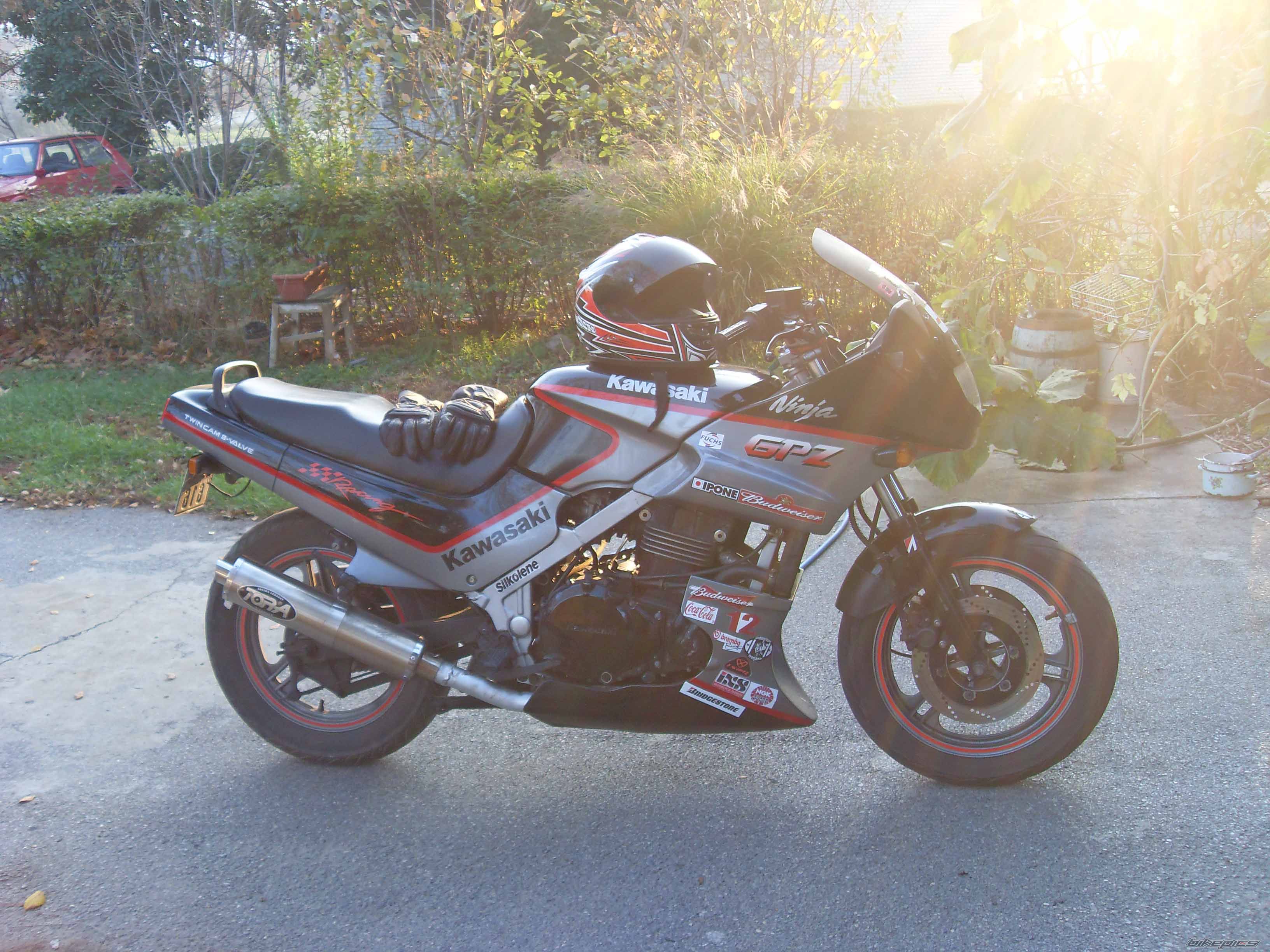 Photo 1499780