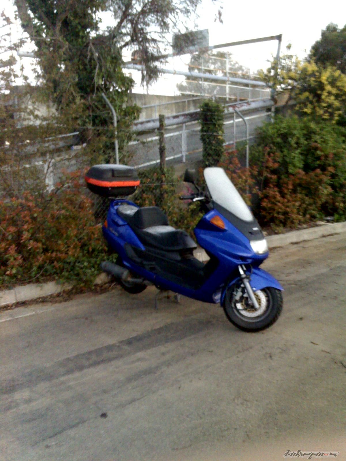 Photo 1501062