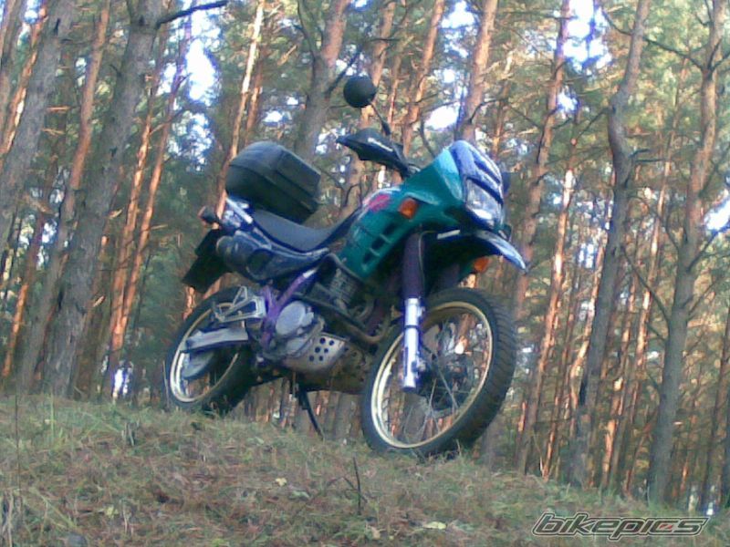 Photo 1502899