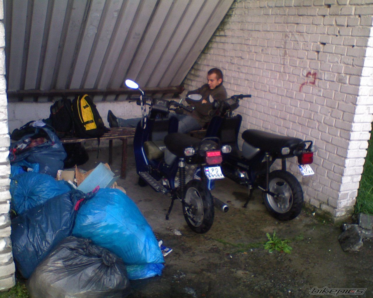 Photo 1503493