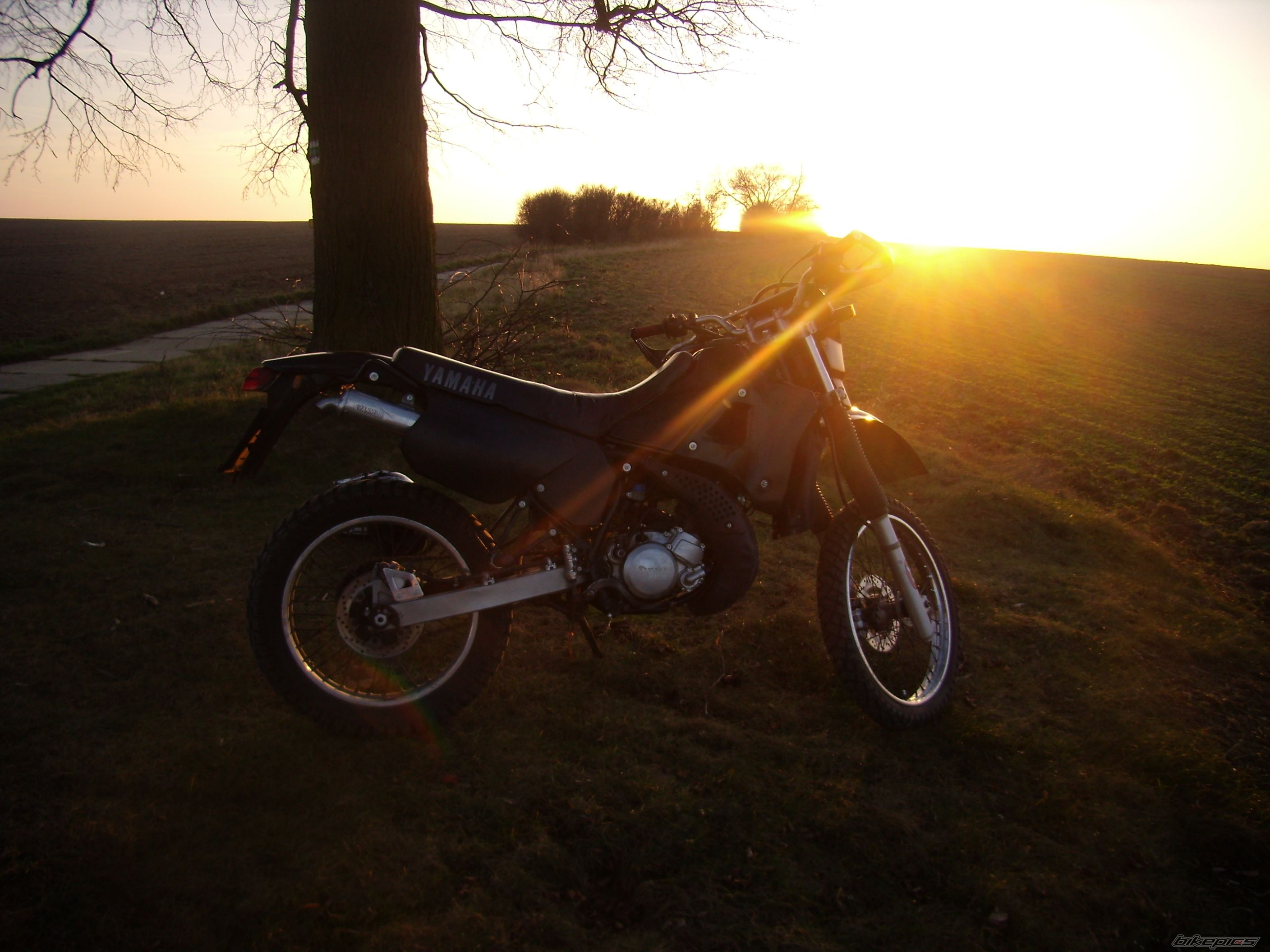 Bike Photo 1503612