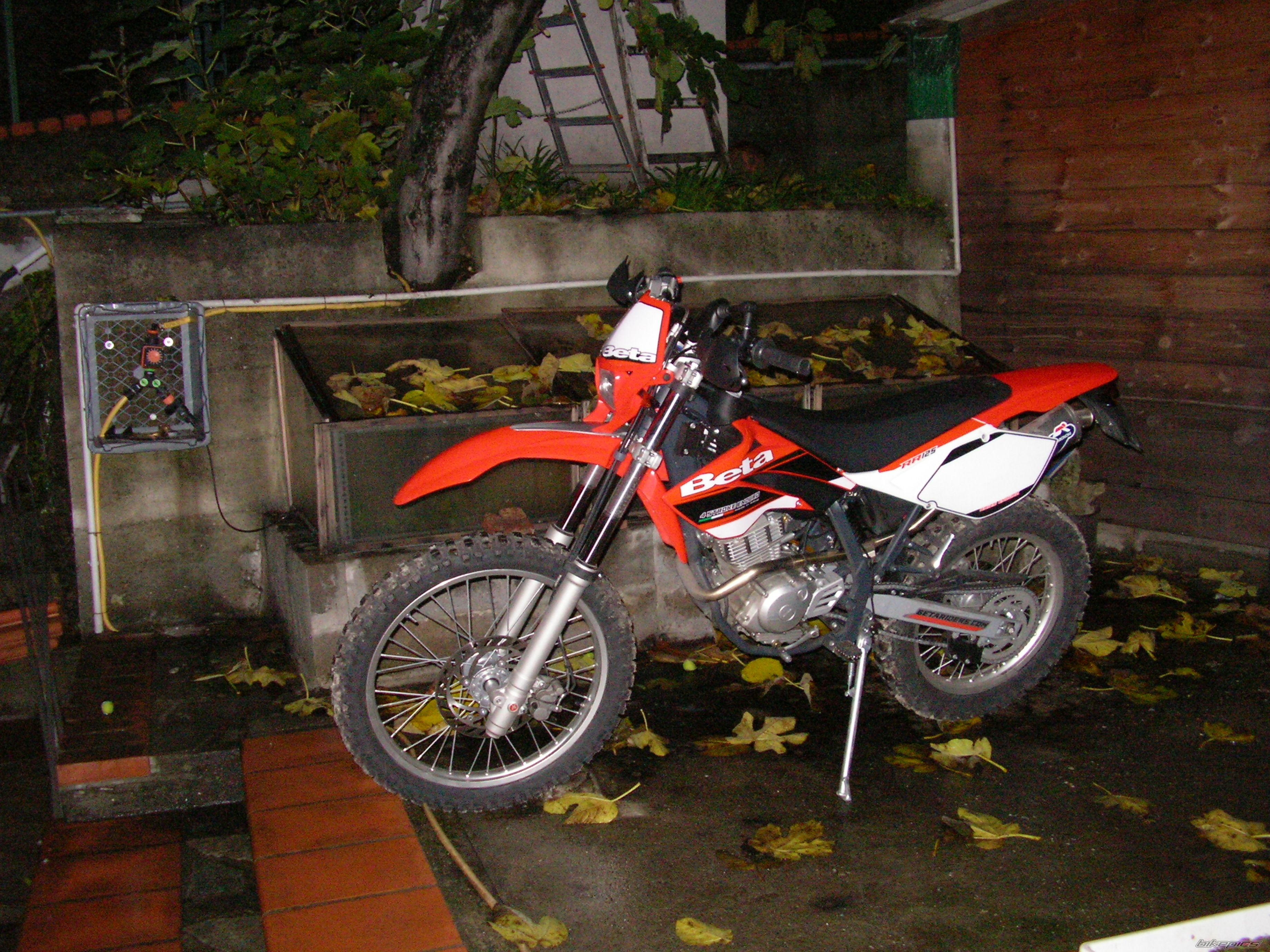 Photo 1506936