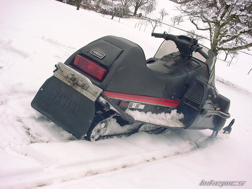 Photo 1513204