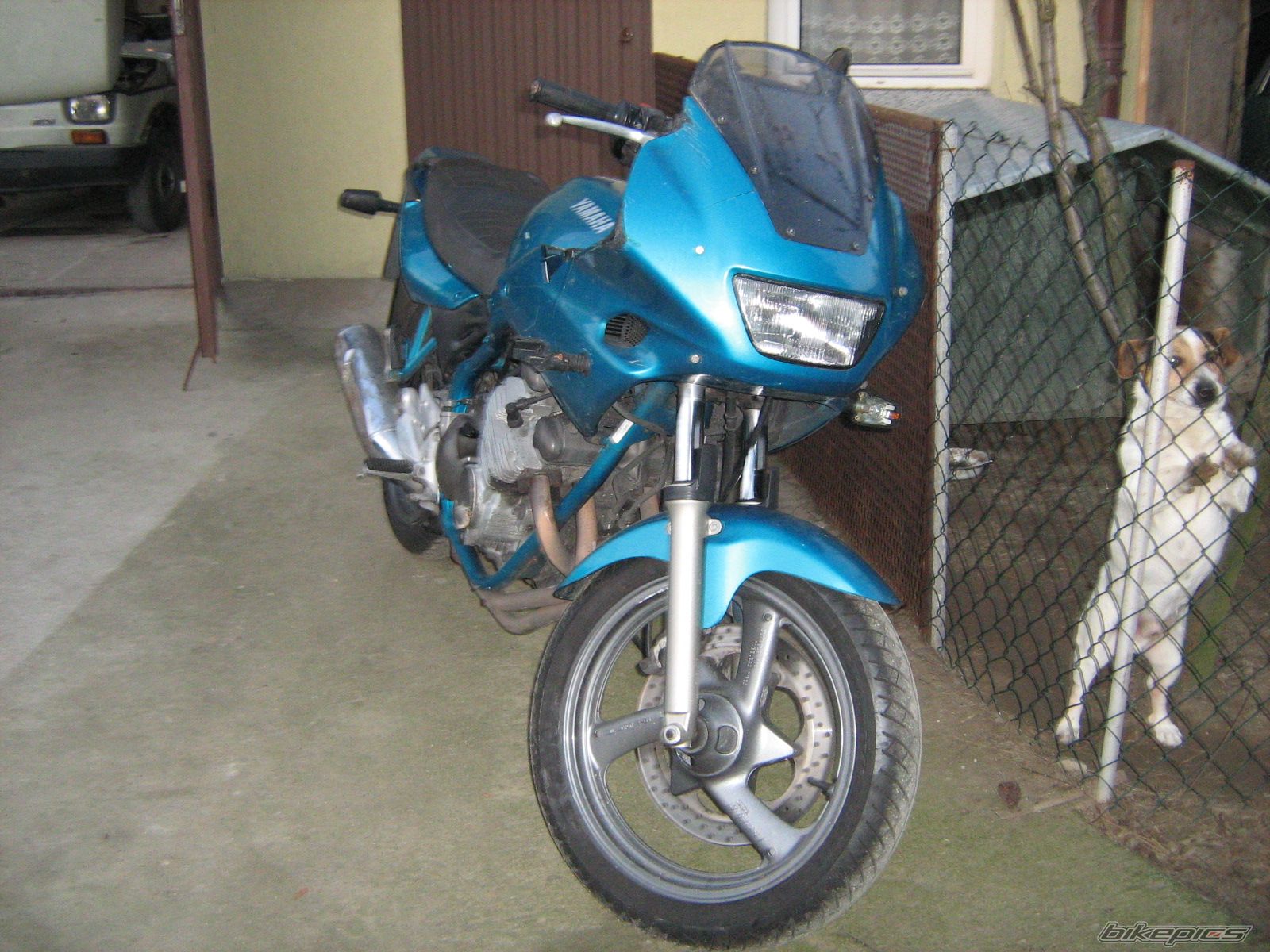 Photo 1517512