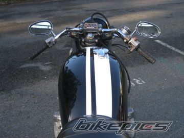 Photo 1517559