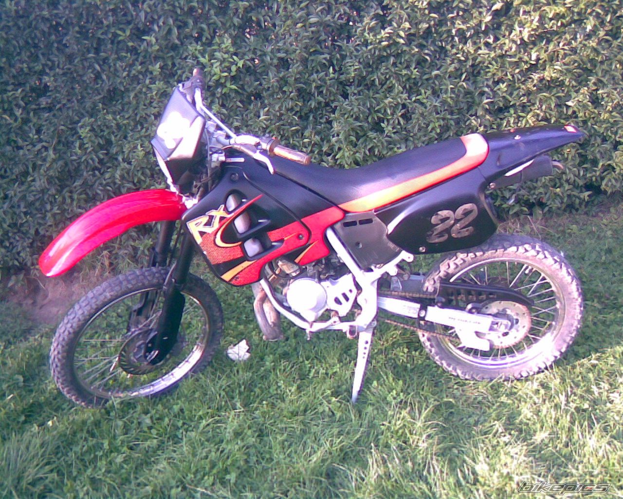 Photo 1517562