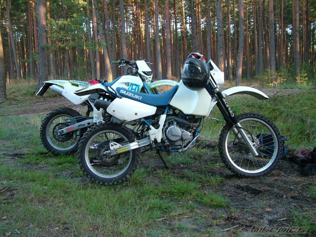 Photo 1518769