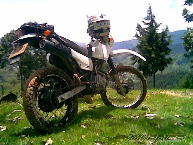 Photo 1519058