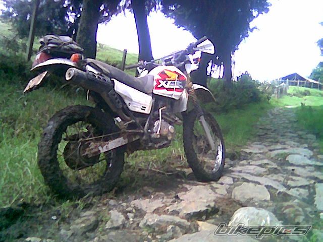Photo 1519067