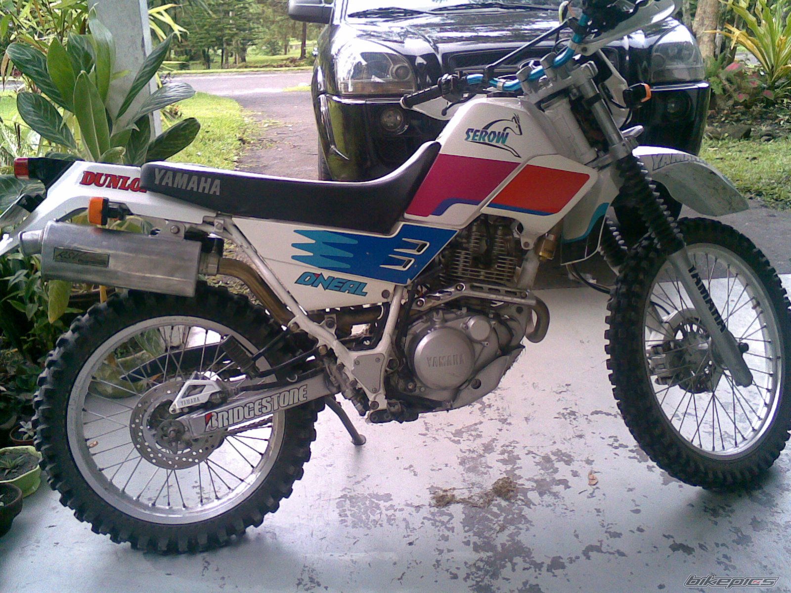 Photo 1520243