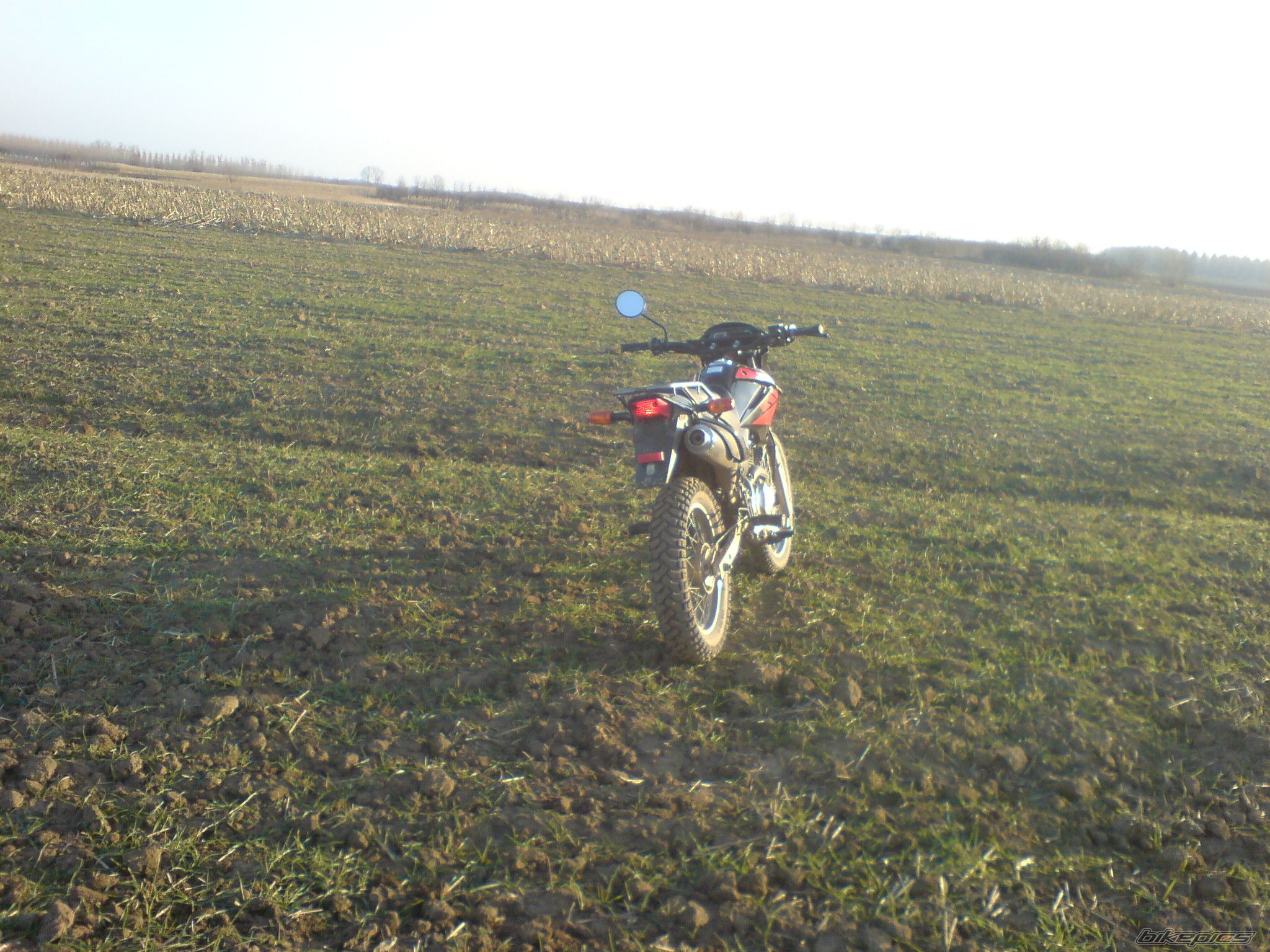 Photo 1521987