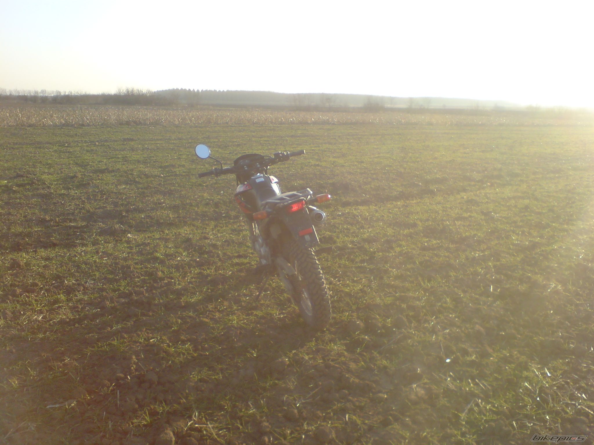 Photo 1521989