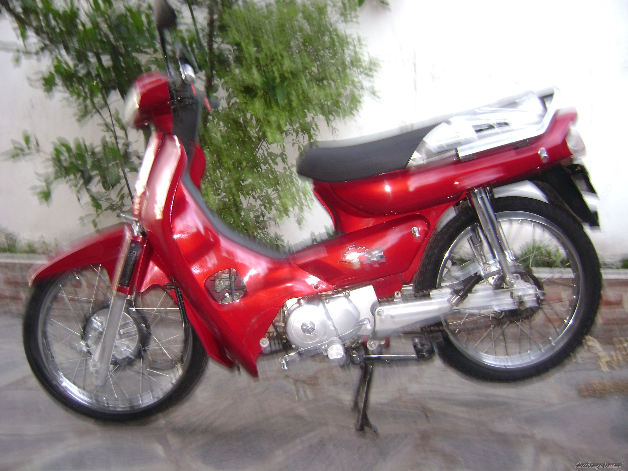 Photo 1523446