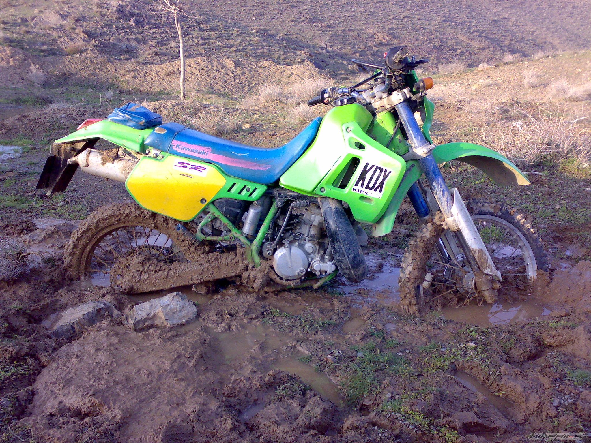 Bike Photo 1524359