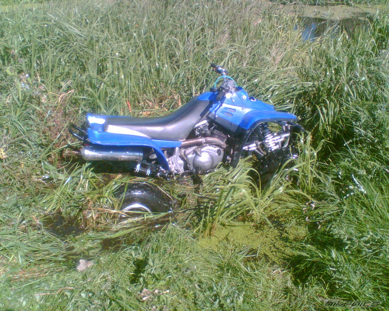 Photo 1525222