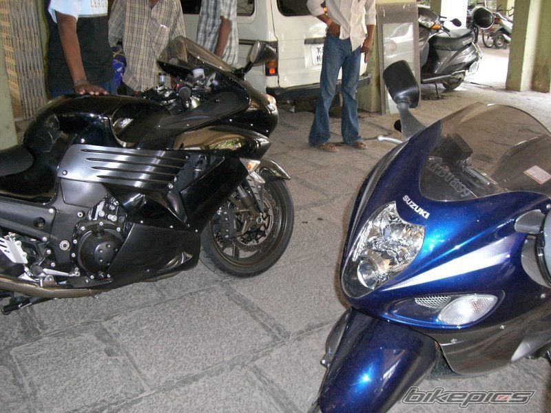 Photo 1529308