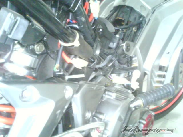 Photo 1529811