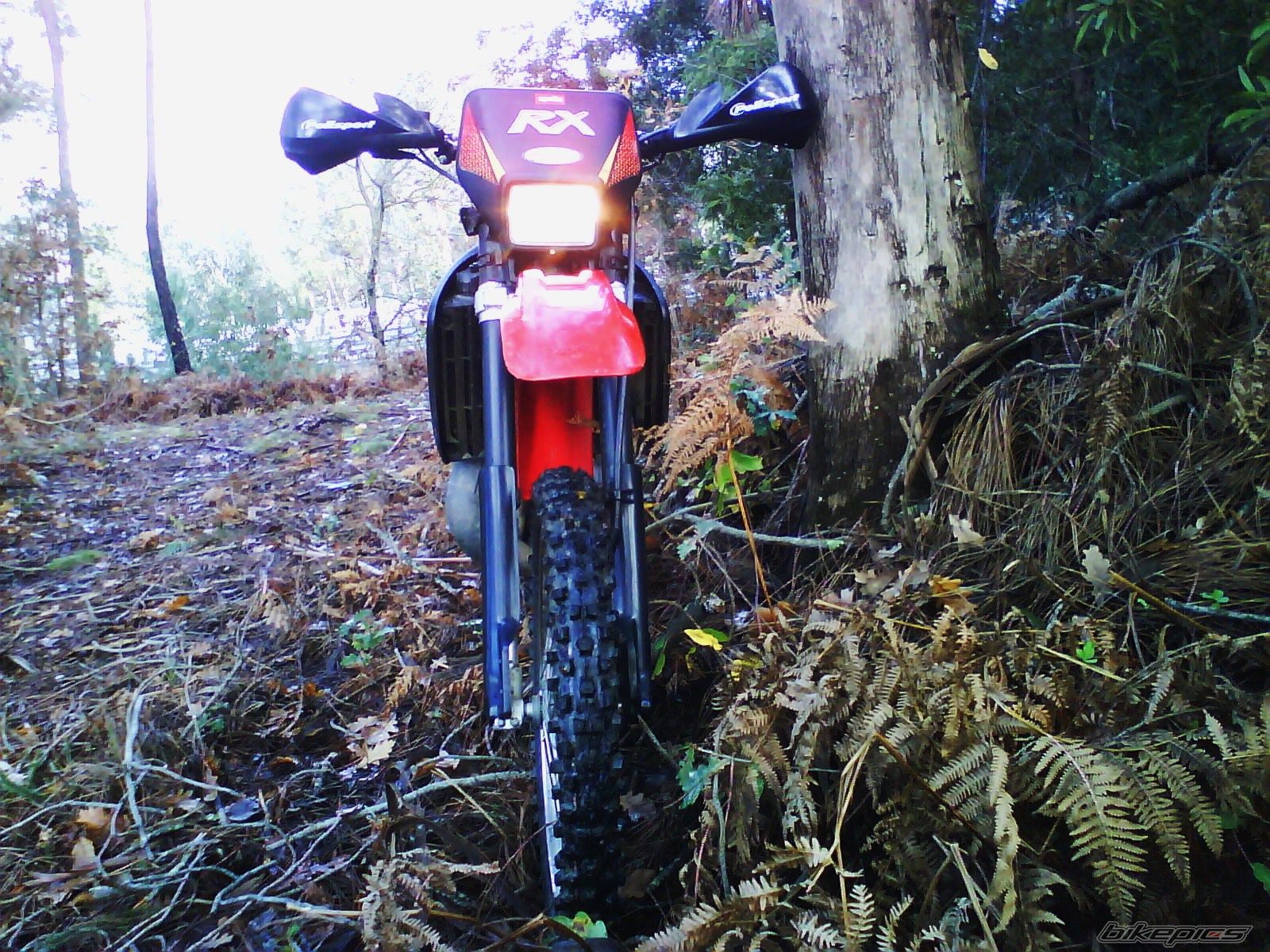 Bike Photo 1533249