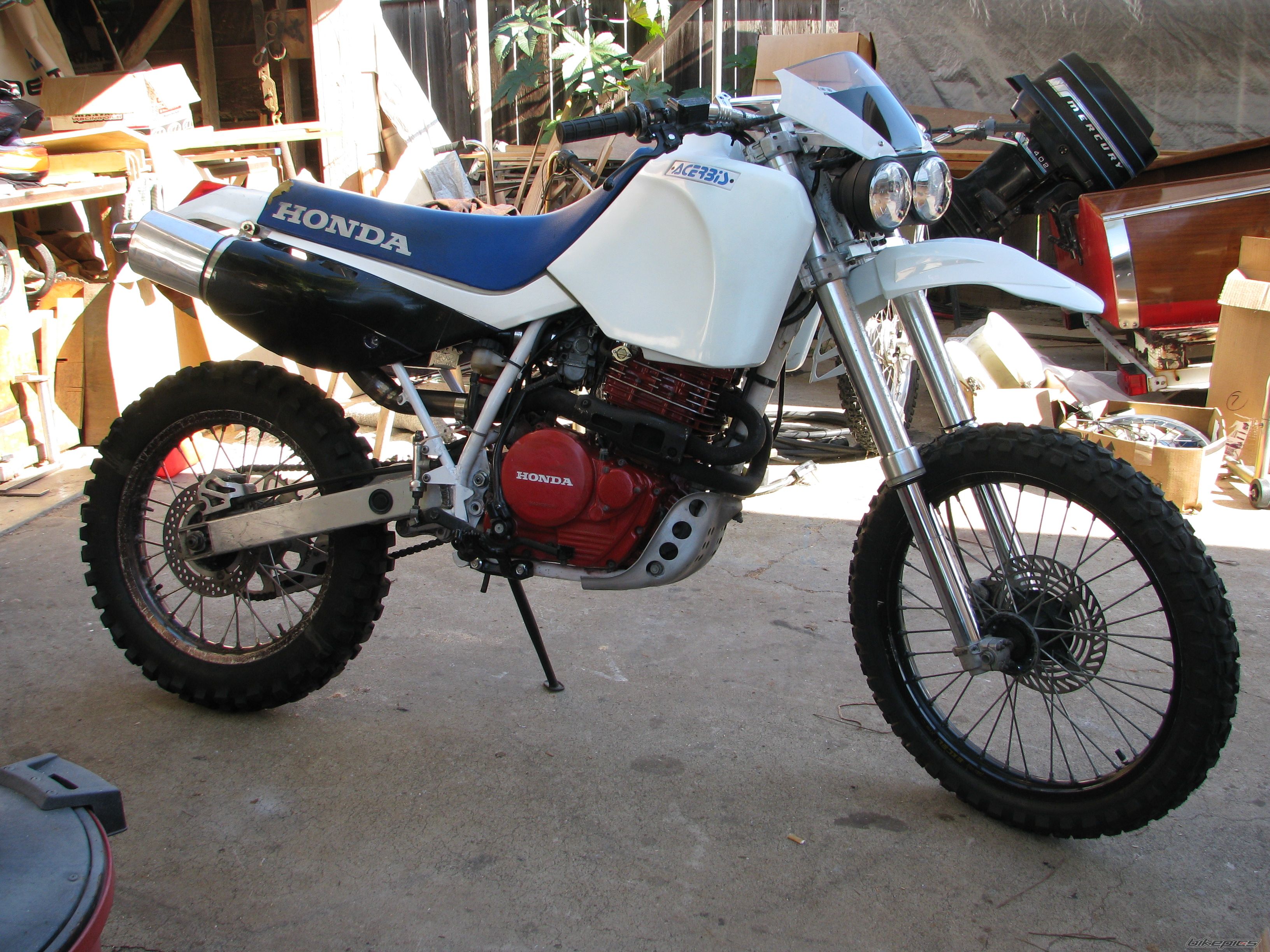Photo 1533419