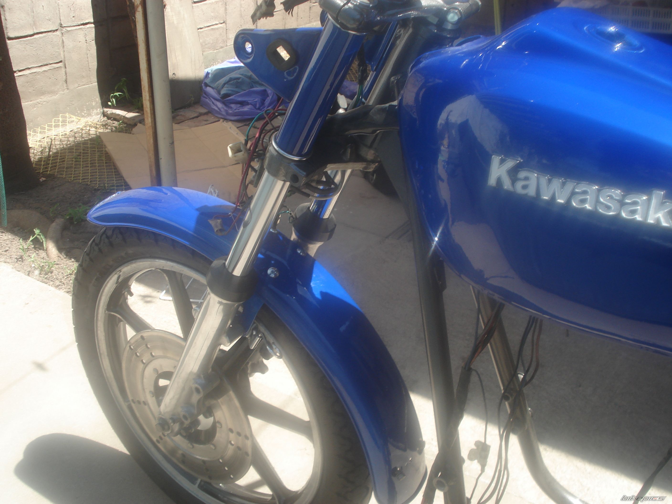 Photo 1538175