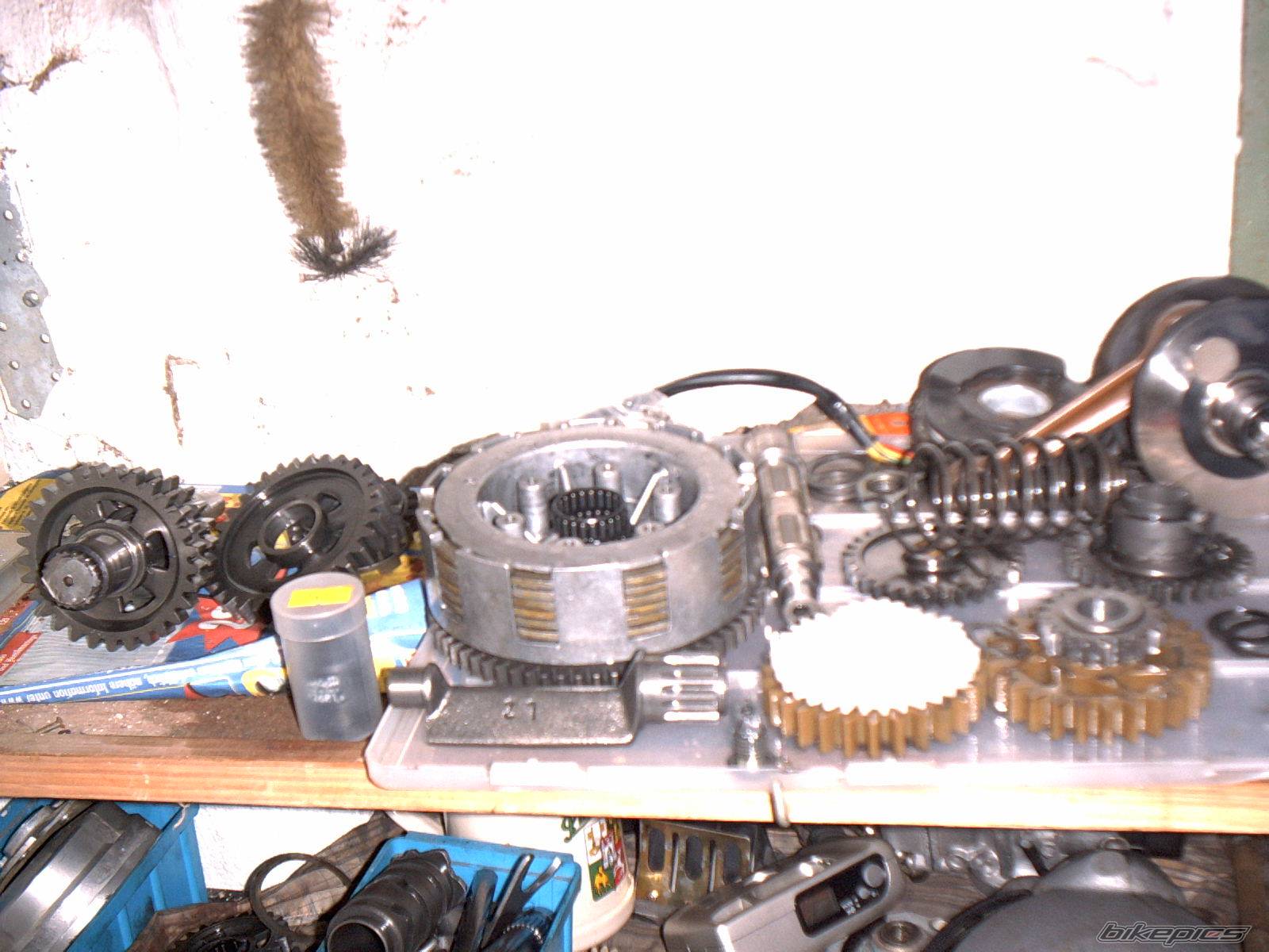 Photo 153847