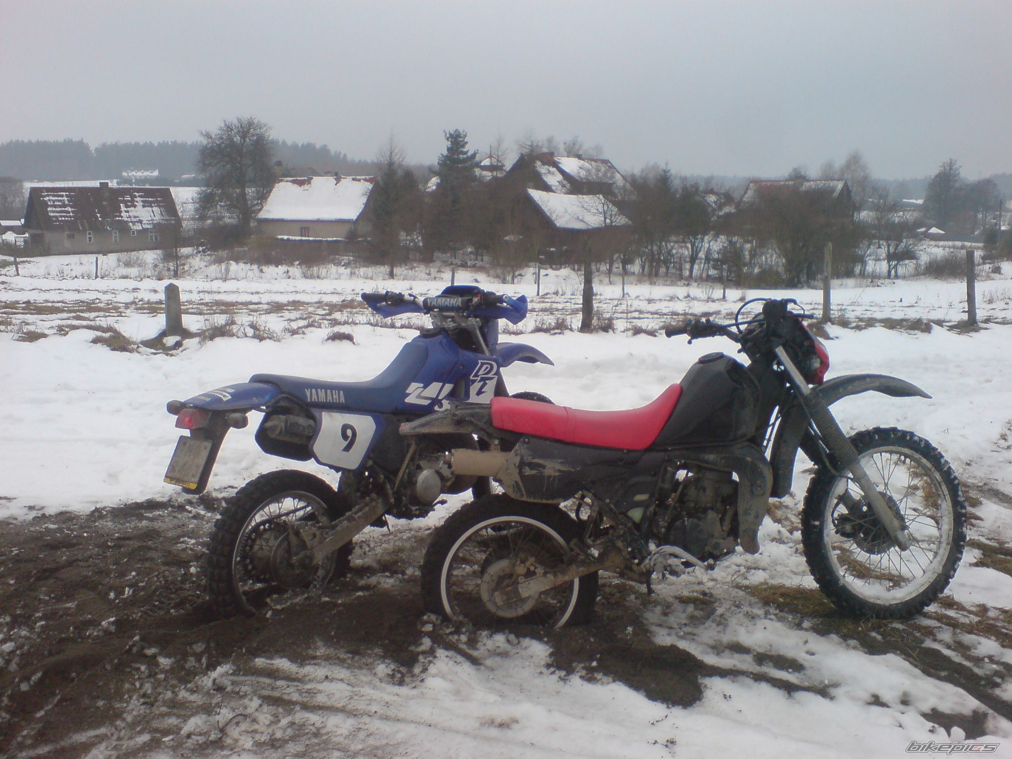 Bike Photo 1538834