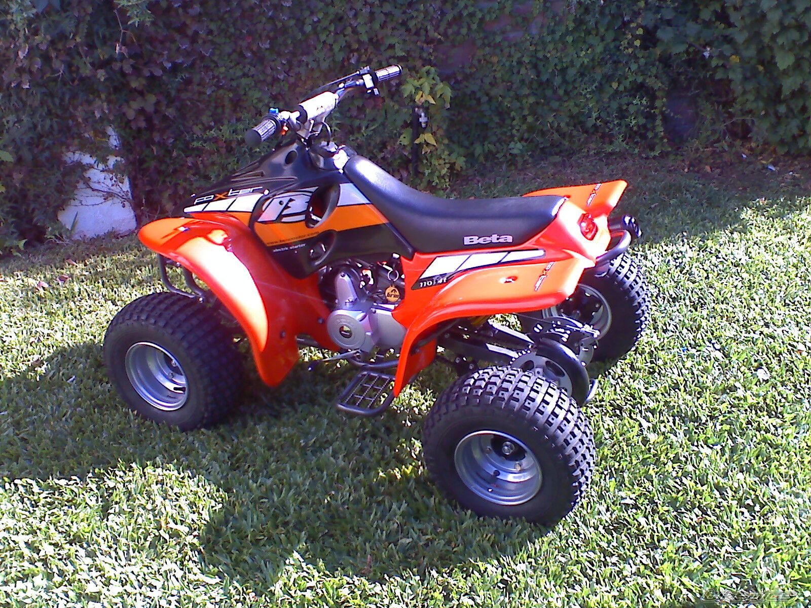 Photo 1538985