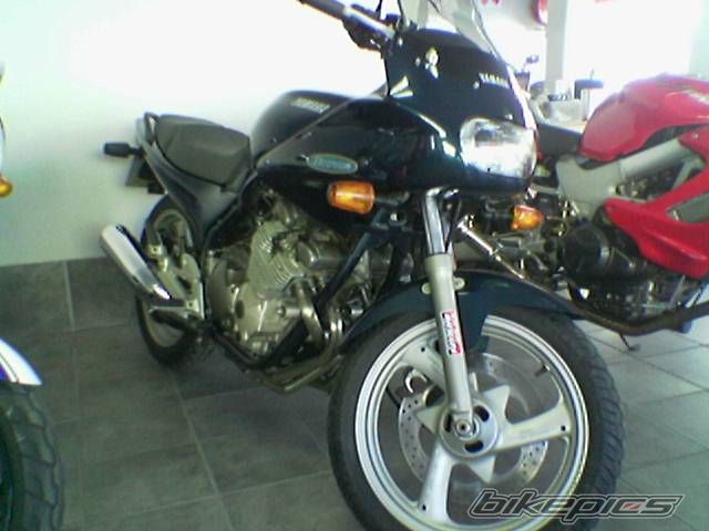 Photo 1540768