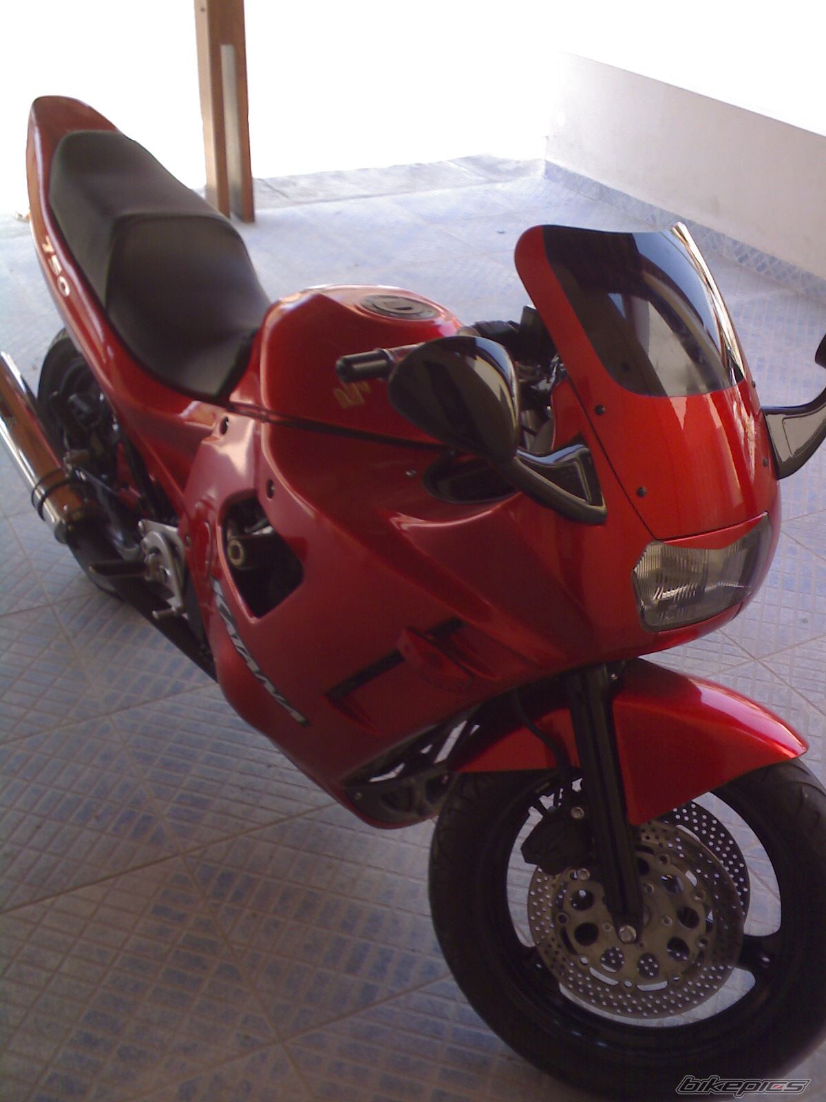 Photo 1541029