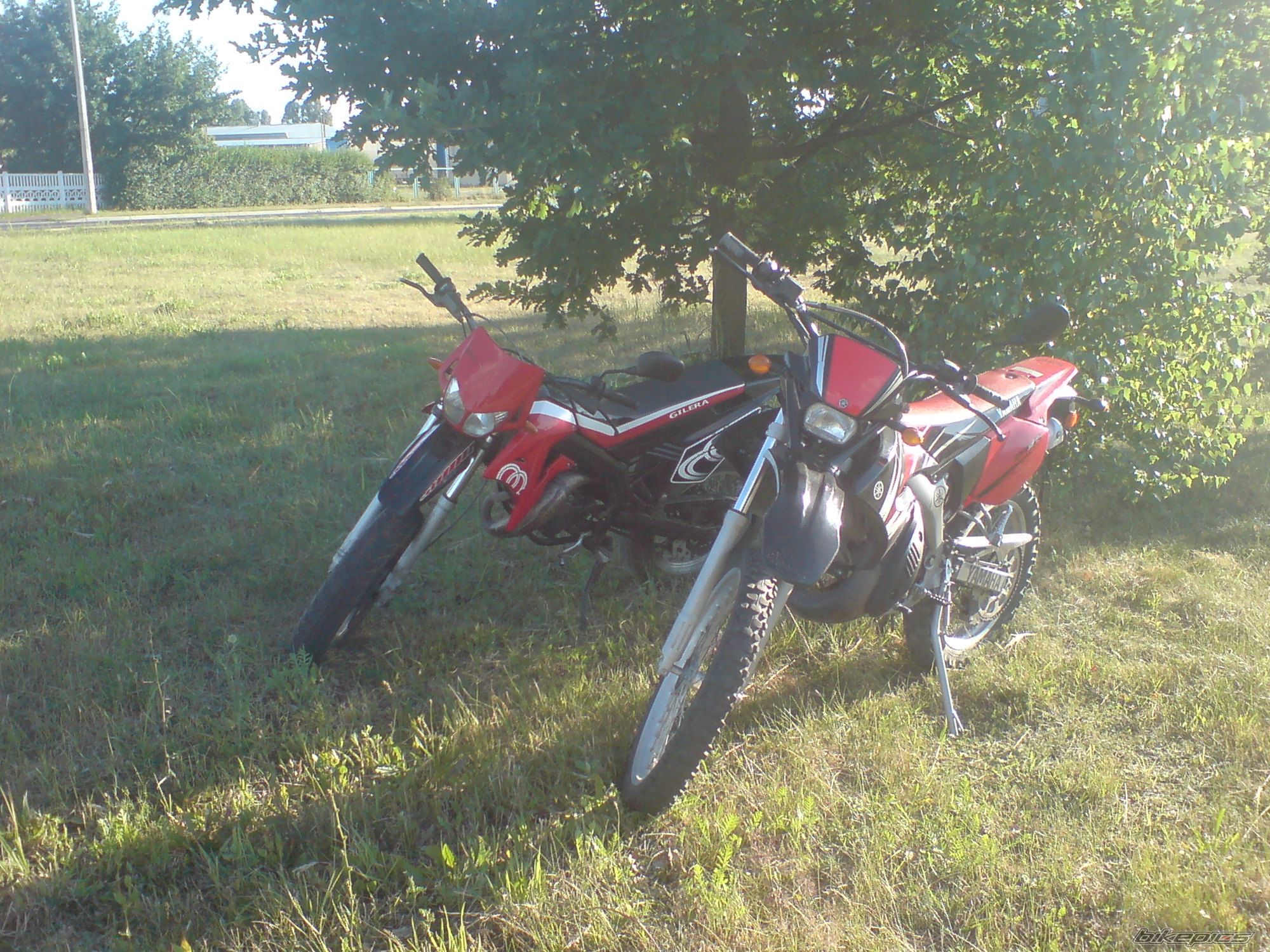 Photo 1541429