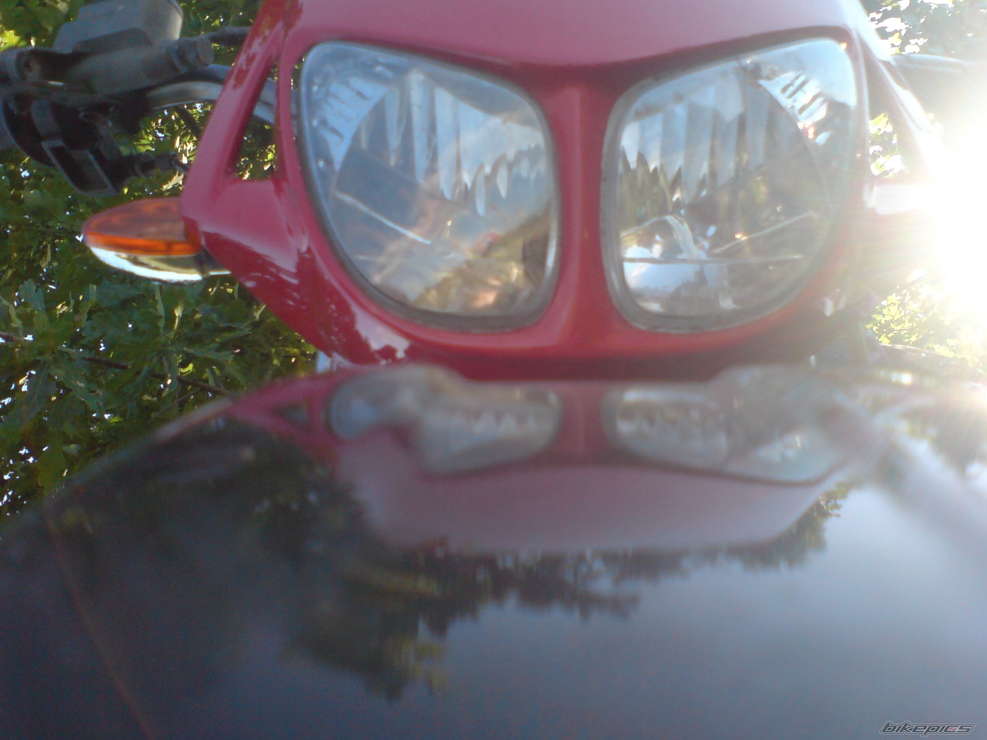 Photo 1541440